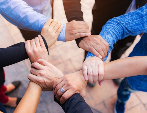 成为haobotiyu-好博(中国)的一份子